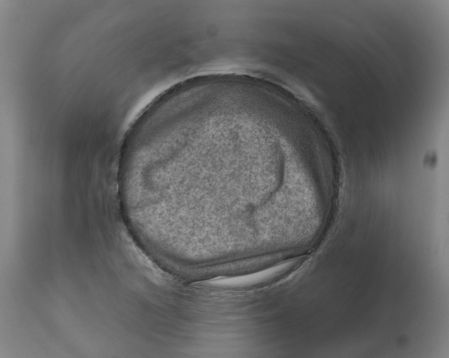 X0000112771216200909171305