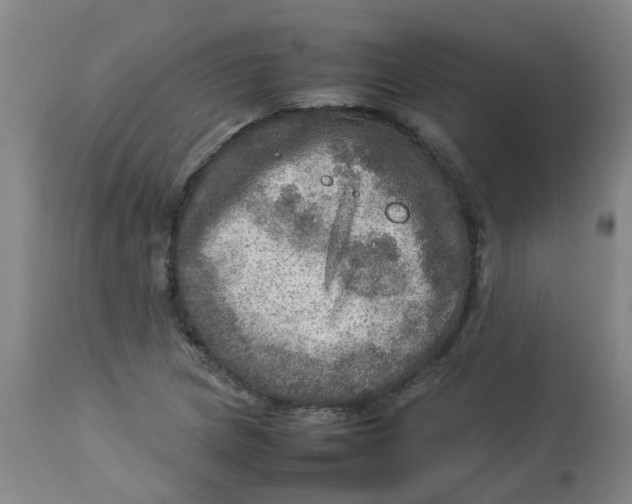 X0000112771217200909171305