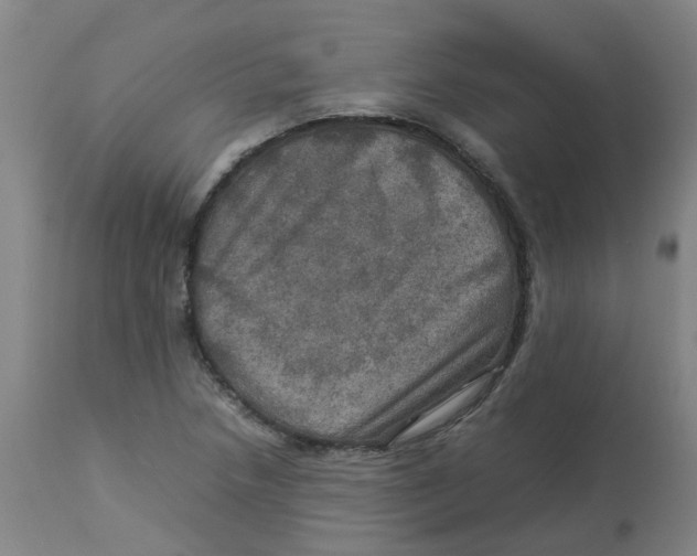 X0000112771218200909171305