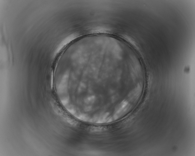 X0000112771219200909171305