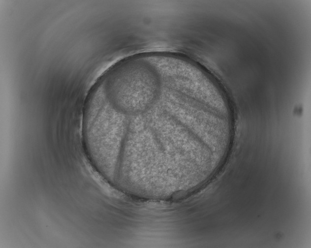 X0000112771220200909171305