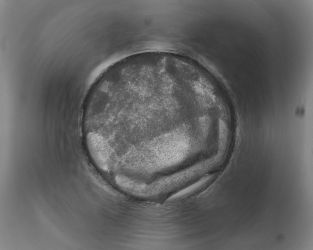 X0000112771222200909171305