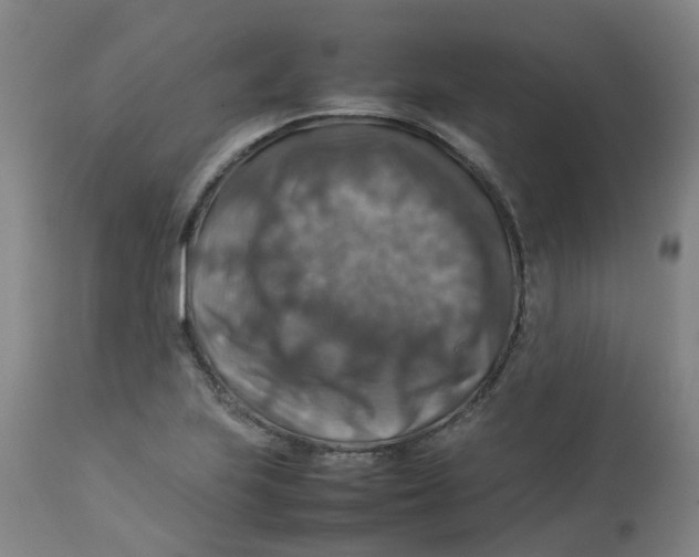 X0000112771223200909171305