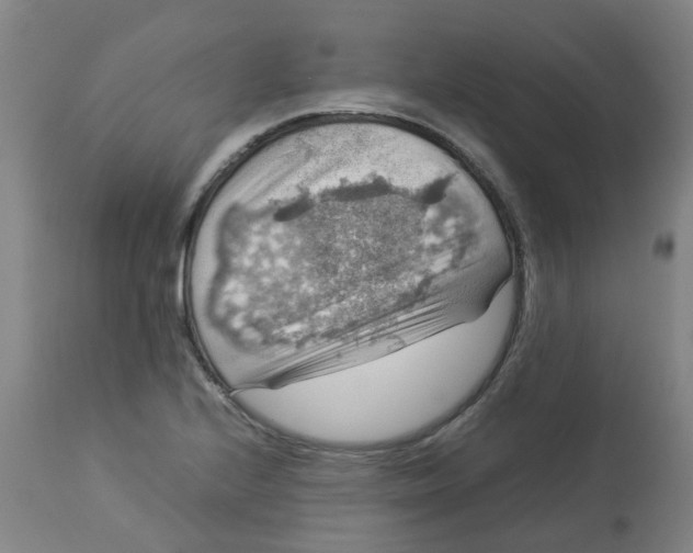 X0000112771224200909171305