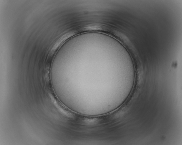 X0000112771225200909171305