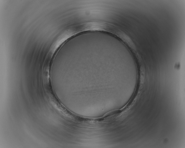 X0000112771226200909171305