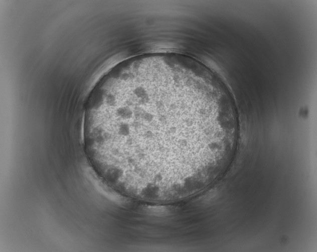 X0000112771227200909171305