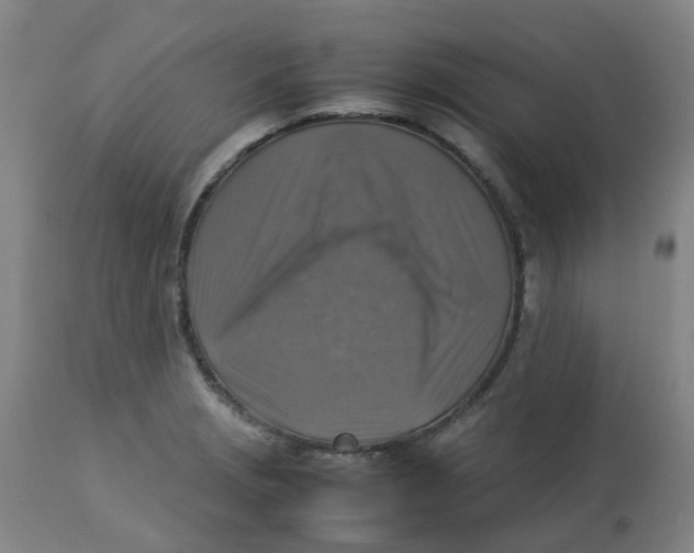 X0000112771229200909171305