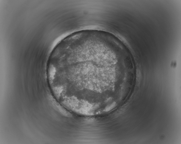 X0000112771230200909171305