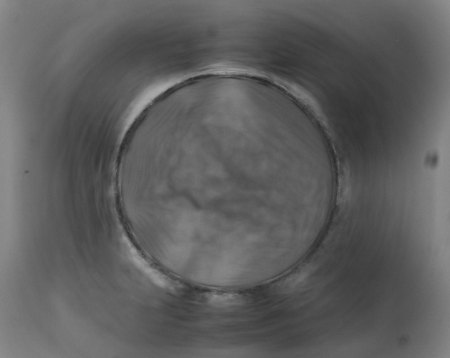 X0000112771231200909171305