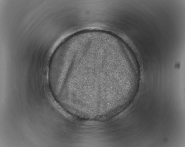 X0000112771232200909171305