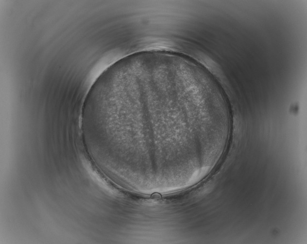 X0000112771234200909171305