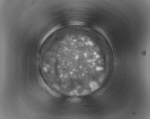 X0000112771235200909171305