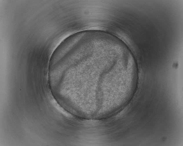 X0000112771236200909171305