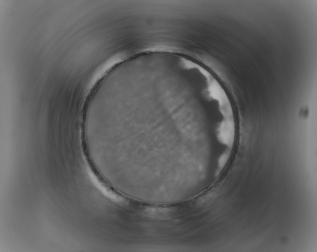 X0000112771237200909171305