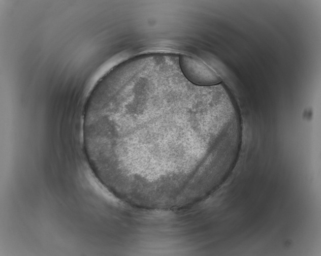 X0000112771238200909171305