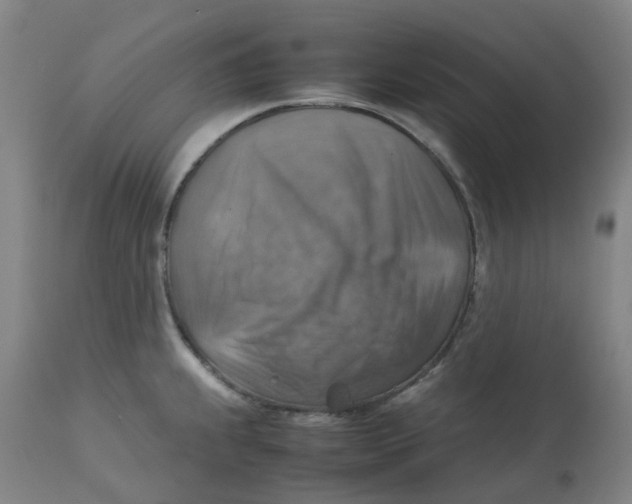 X0000112771239200909171305