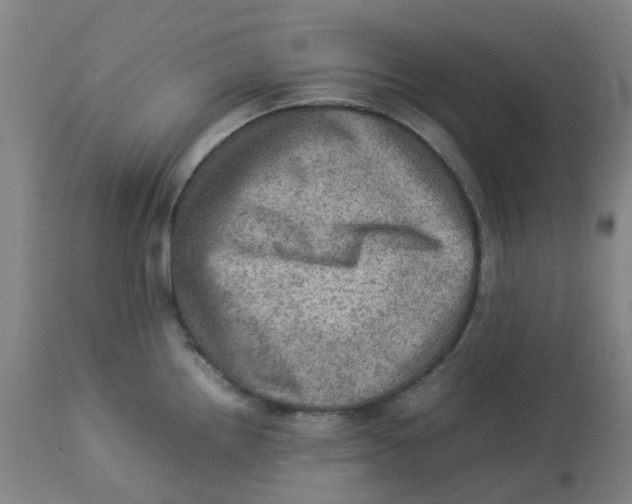 X0000112771242200909171305