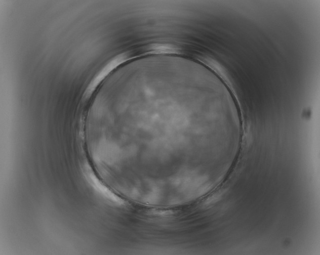 X0000112771243200909171305