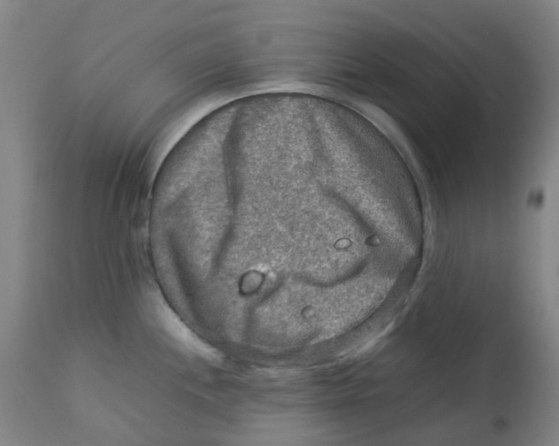 X0000112771244200909171305