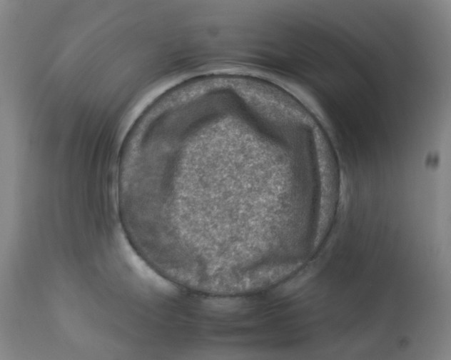 X0000112771247200909171305