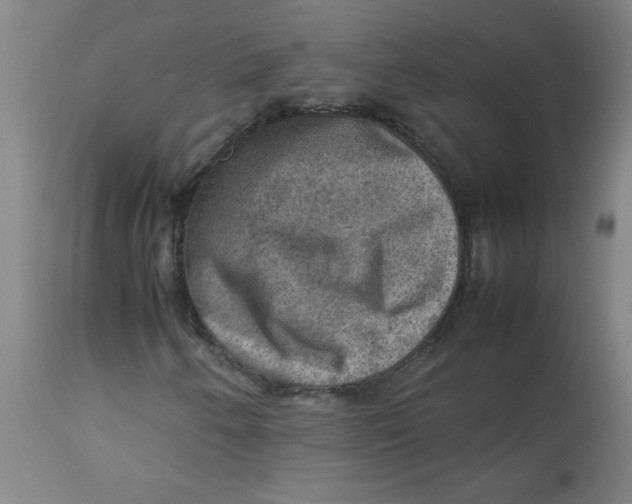 X0000112771250200909171304