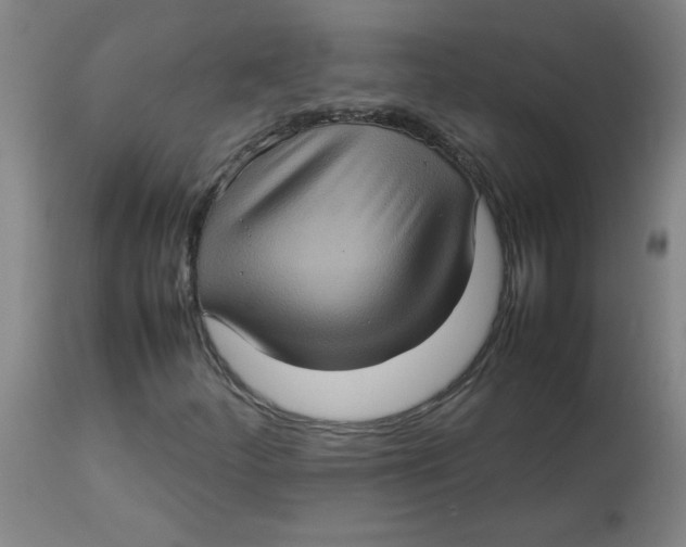 X0000112771252200909171304