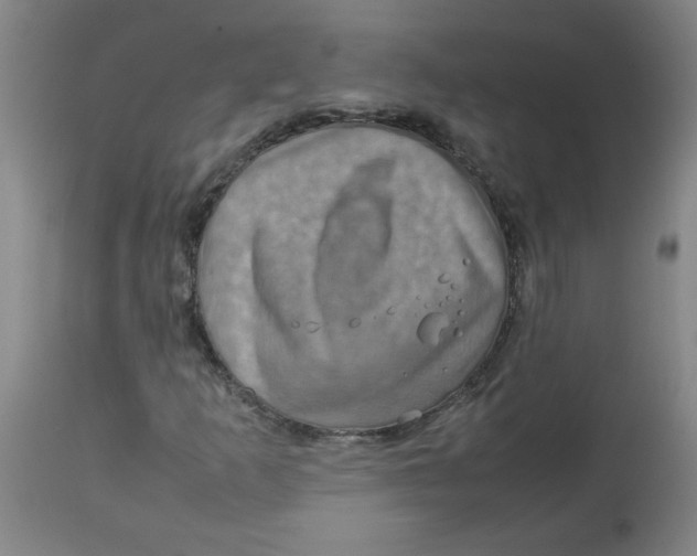 X0000112771253200909171304