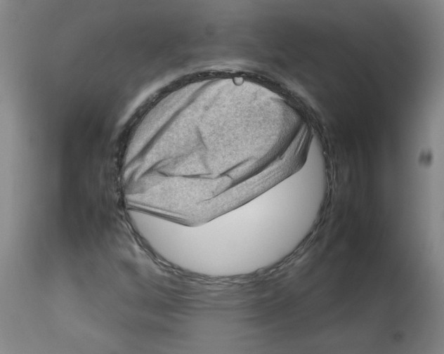 X0000112771256200909171304