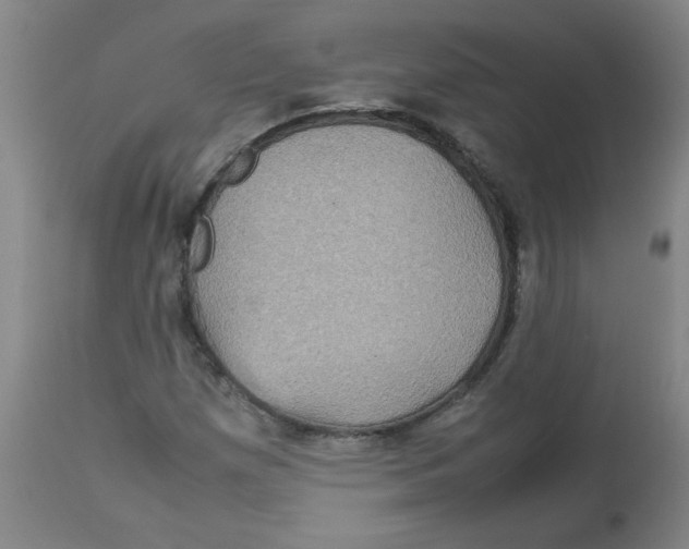 X0000112771257200909171304