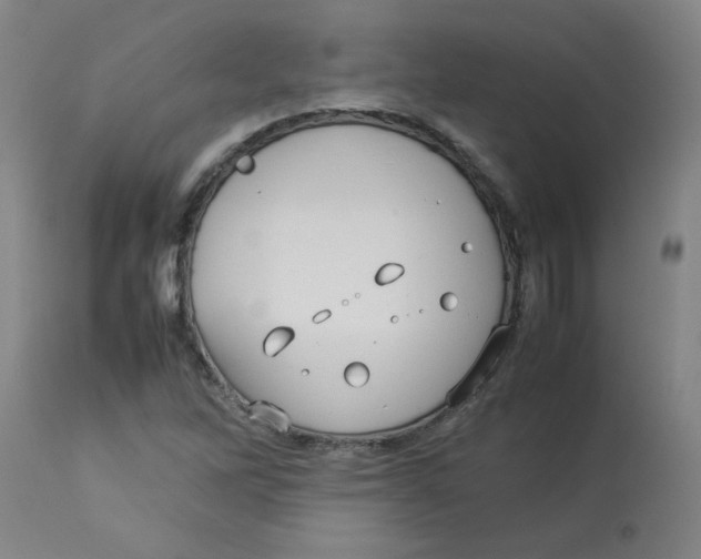 X0000112771262200909171304