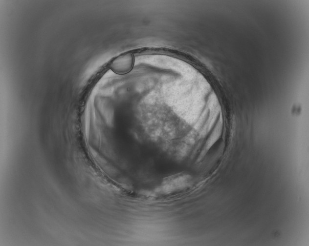 X0000112771263200909171304