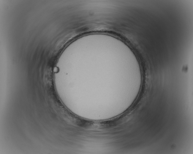 X0000112771265200909171304