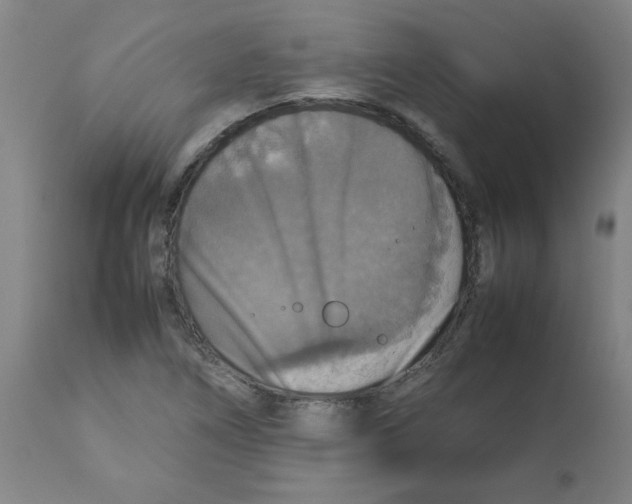 X0000112771266200909171304