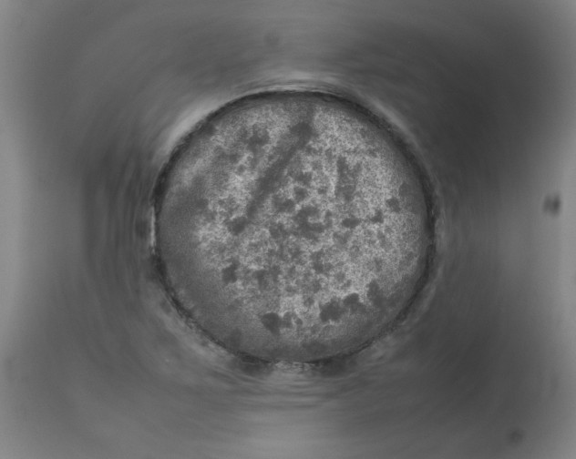 X0000112771267200909171304