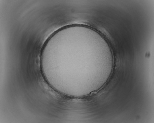 X0000112771268200909171304