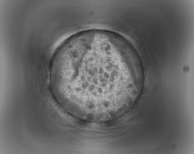 X0000112771271200909171304