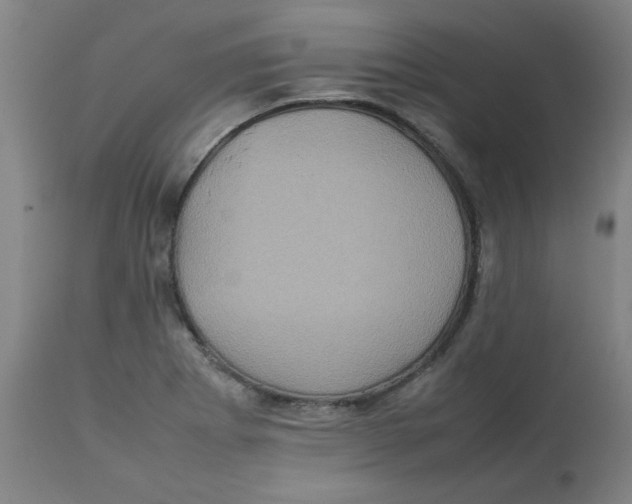 X0000112771273200909171304