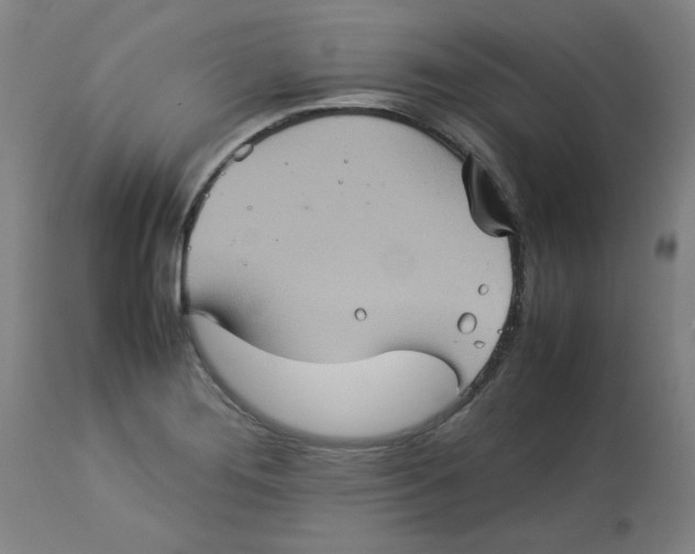 X0000112771276200909171304