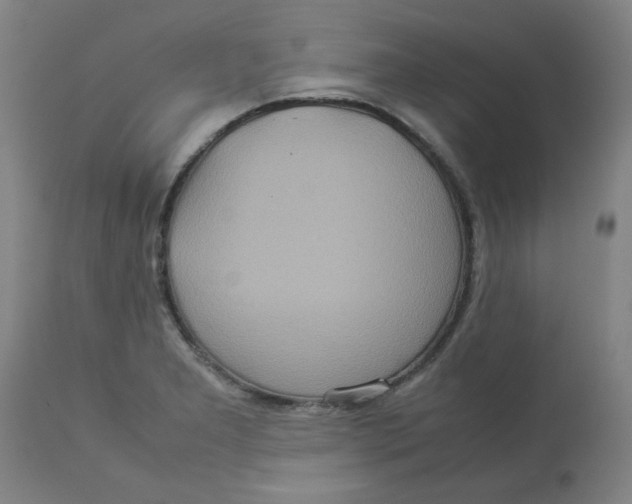 X0000112771277200909171304