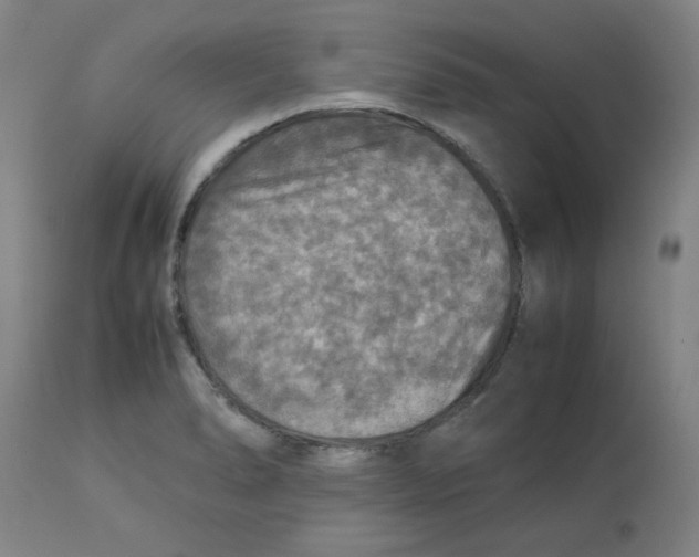 X0000112771278200909171304