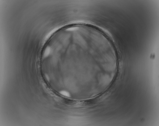 X0000112771279200909171304