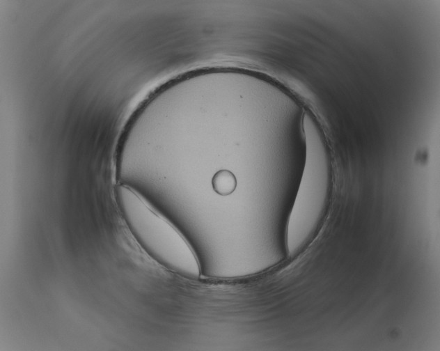 X0000112771280200909171304