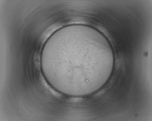 X0000112771282200909171304