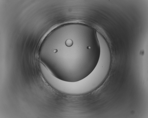 X0000112771284200909171304