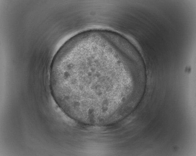 X0000112771287200909171304