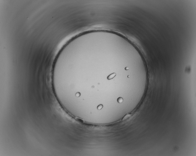 X0000112771288200909171304