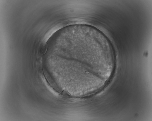 X0000112771289200909171304