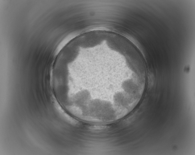 X0000112771290200909171304