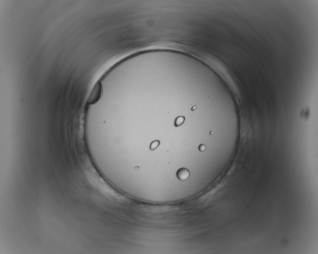 X0000112771292200909171304